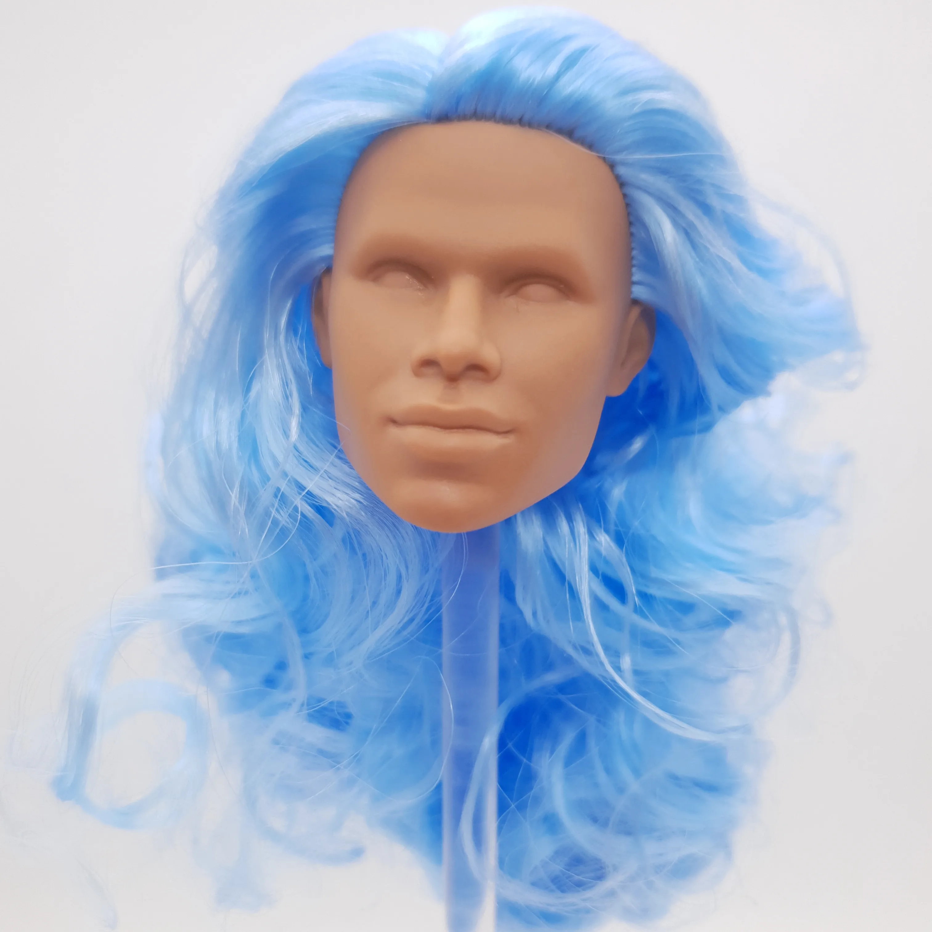 

Fashion Royalty Light Honey Skin Blue Hair Rerooted Tobias Alsford Integrity Homme 1/6 Scale Male Doll Head