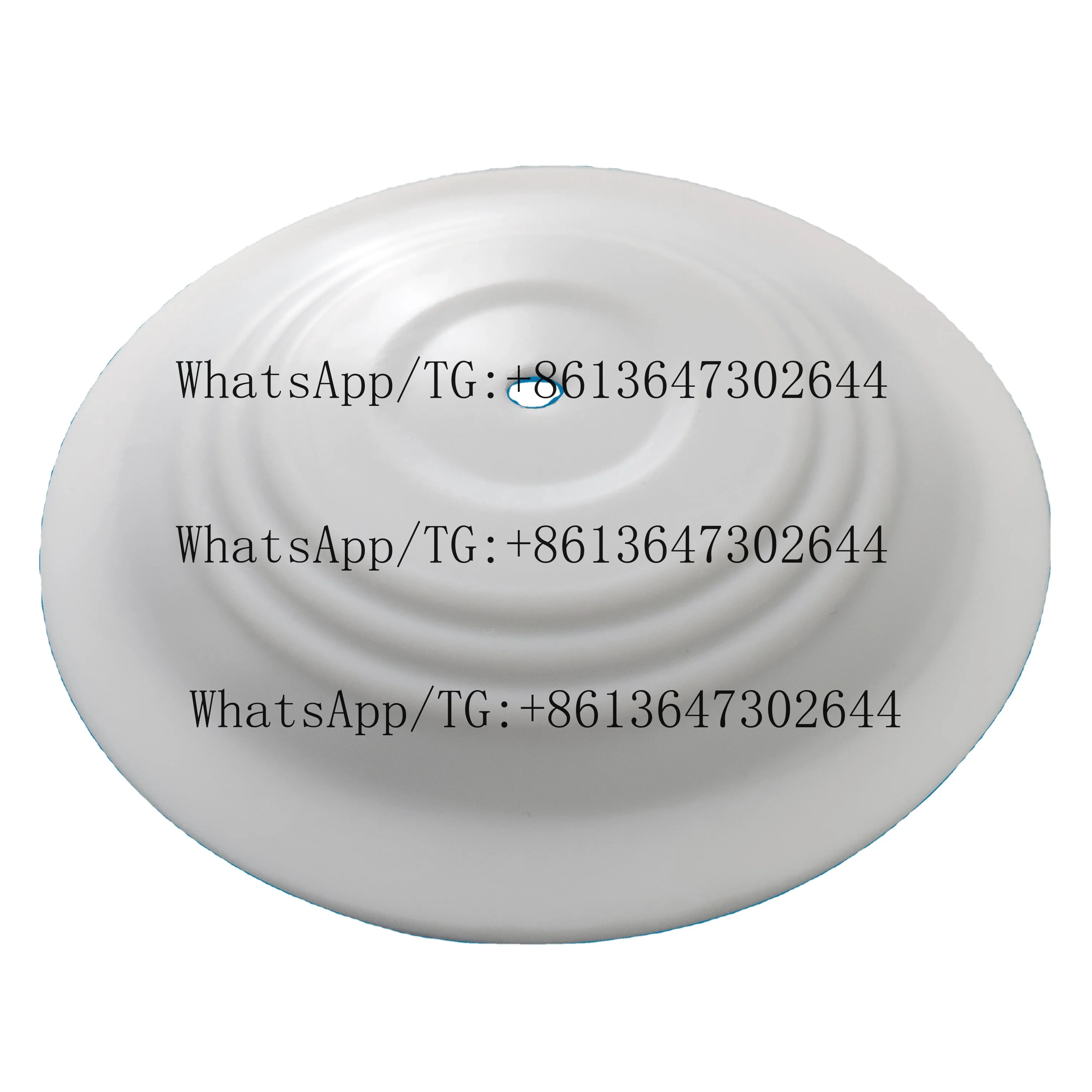 PTFE Diaphragm for Pneumatic Diaphragm Pump 286-070-600 Factory Supplier PTFE Diaphragm Customized