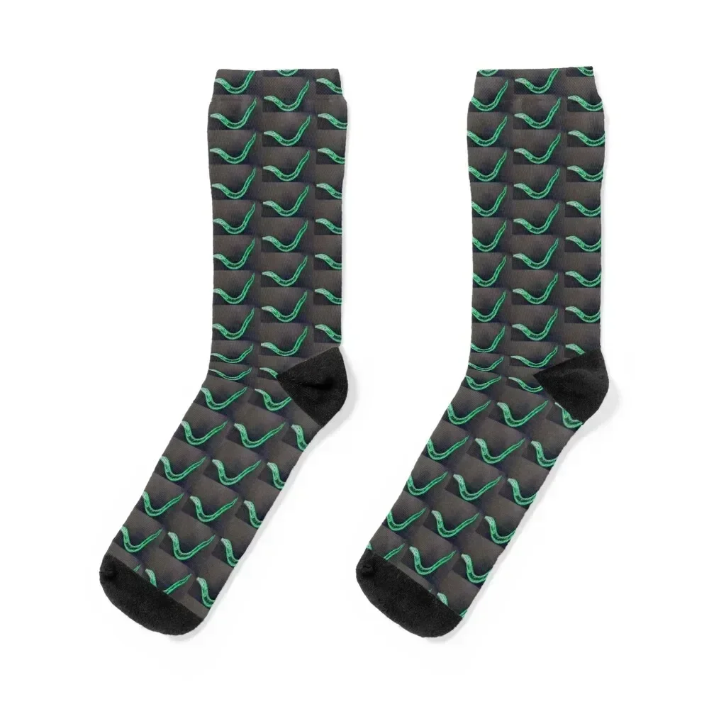 

Green Worm Socks christmas stocking Argentina Luxury Woman Socks Men's