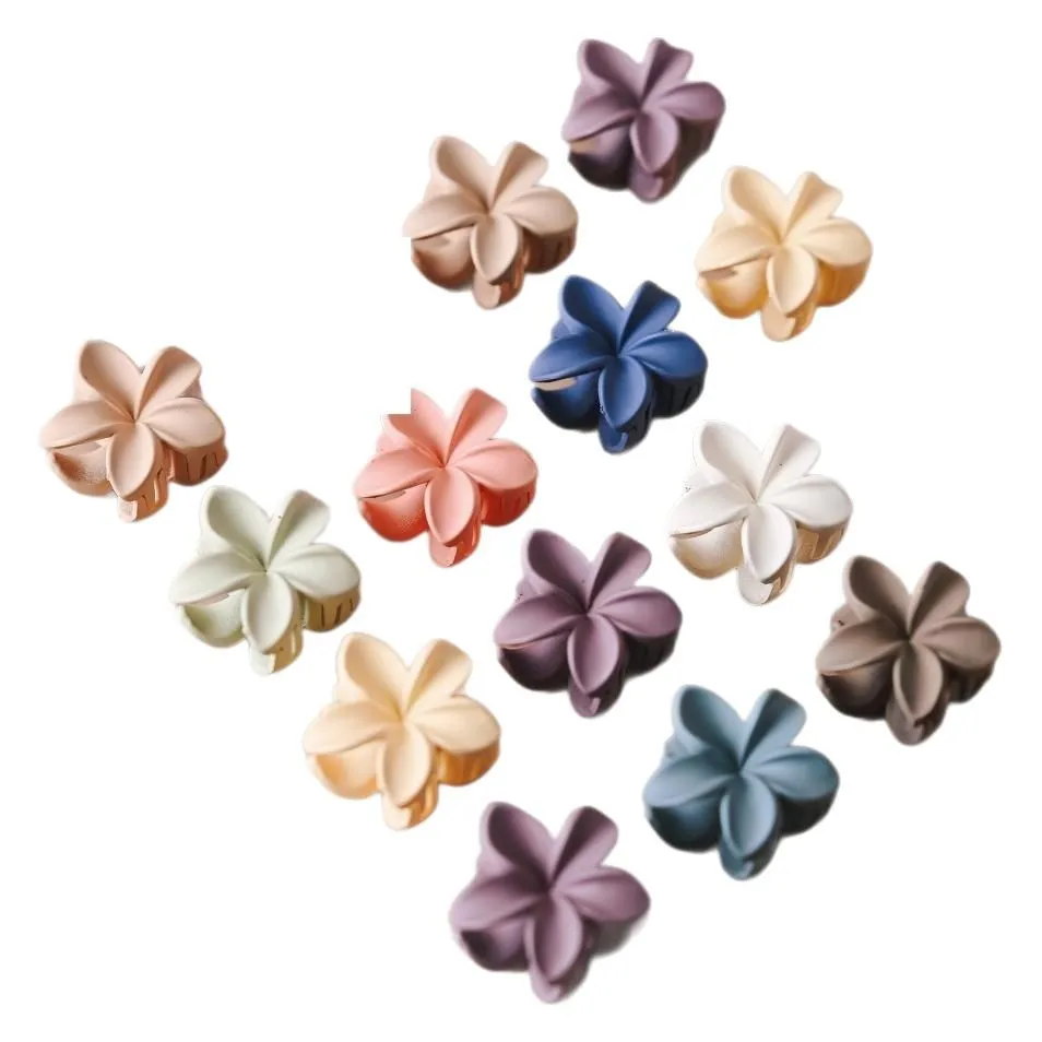 10pcs Fashion Small Hair Claw Clips Sweet Color Mixed Flower Frosted Clips Hairpin Barrette For Women Girl Kids Hair Accessories image 6