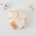 Rainbow Bear