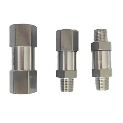 Clapet anti-retour unidirectionnel en acier inoxydable 1/8, BSP, NPT, femelle, mâle, anti-retour en ligne, 1/4