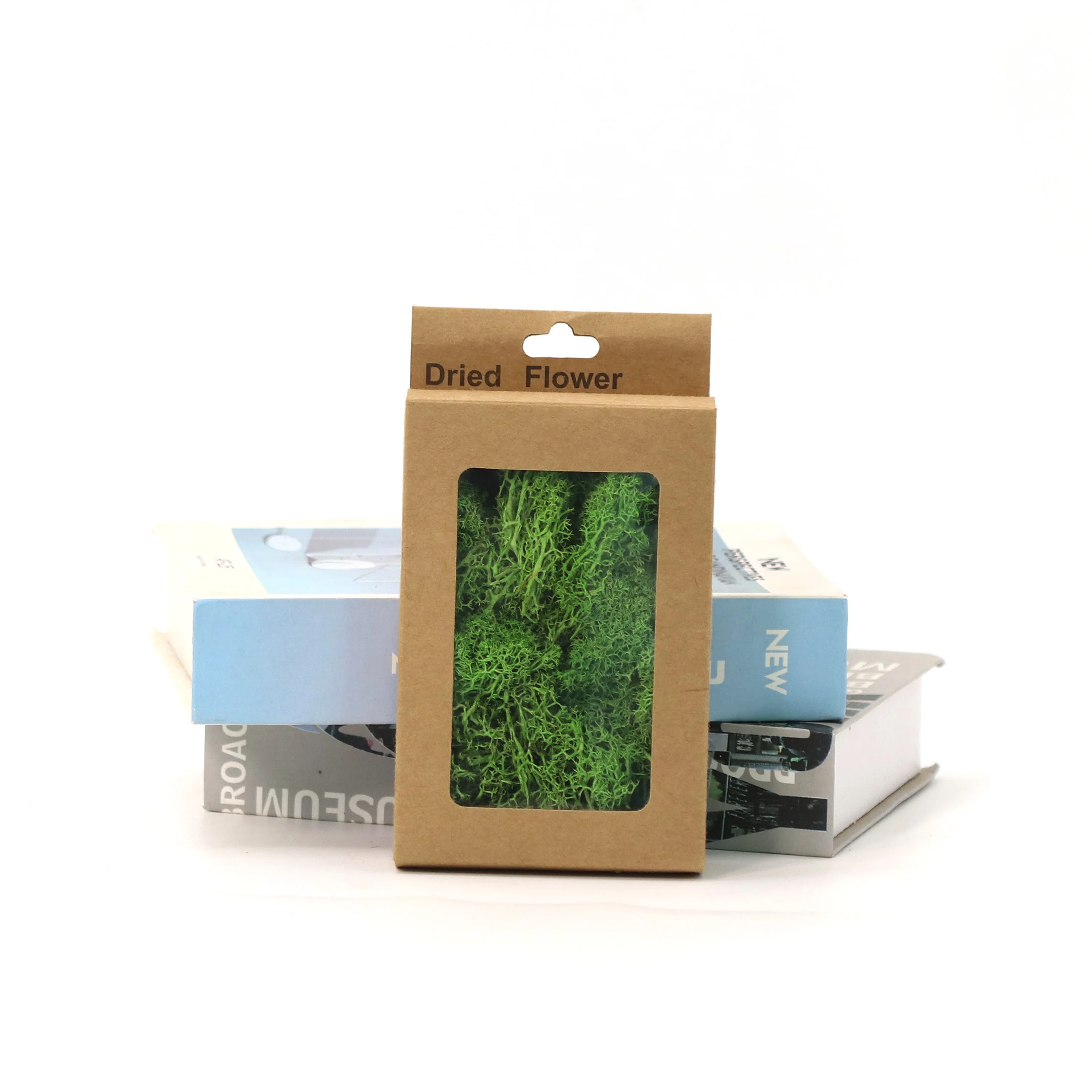 Bewaard Moss Rendier Elke Doos Voor Moss Ambachten, DIY Kit, Tuin Kunst, Muur Decor, Bloemist, Pasen Tafeldecoratie, 1.4OZ