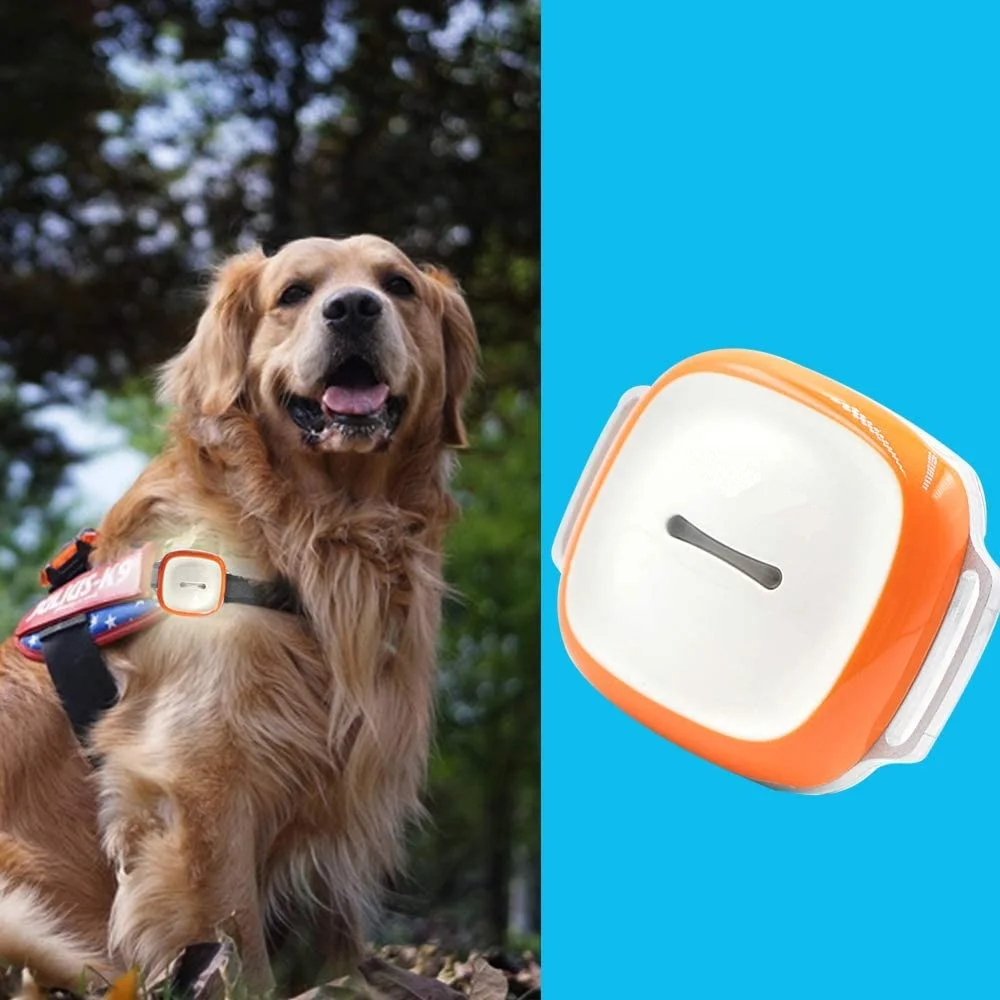 

Waterproof Tracker for Dogs Bigger Cats Tracking Device with Collar Light Collar Hounds GPS Tracker Search Geo Fence Anti-Lost