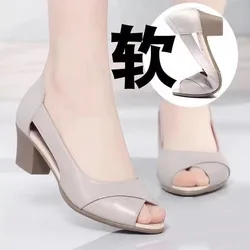 Mid Heel Square Heel Modern Sandals Buckle Strap Slip-on Ladies Shoes on Sale 2024 Brand Solid Shallow Concise Women's Sandals