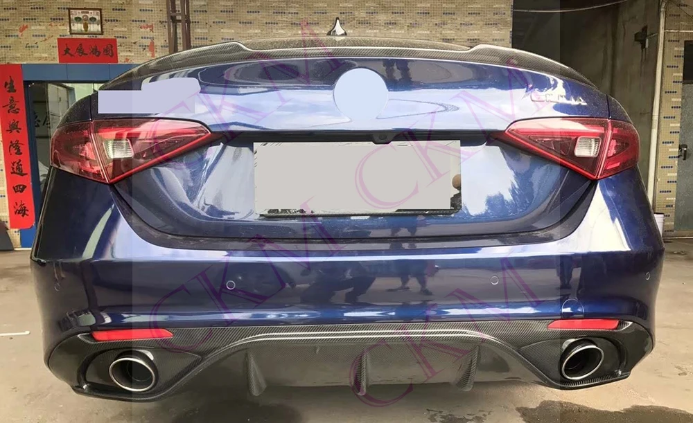 Carbon Fiber Back B…