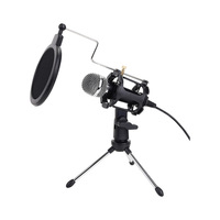 Desktop Usb Streaming Microfone Kit for Computer Game Vocal Recording Condenser Microphones with Filter Tripod Stand