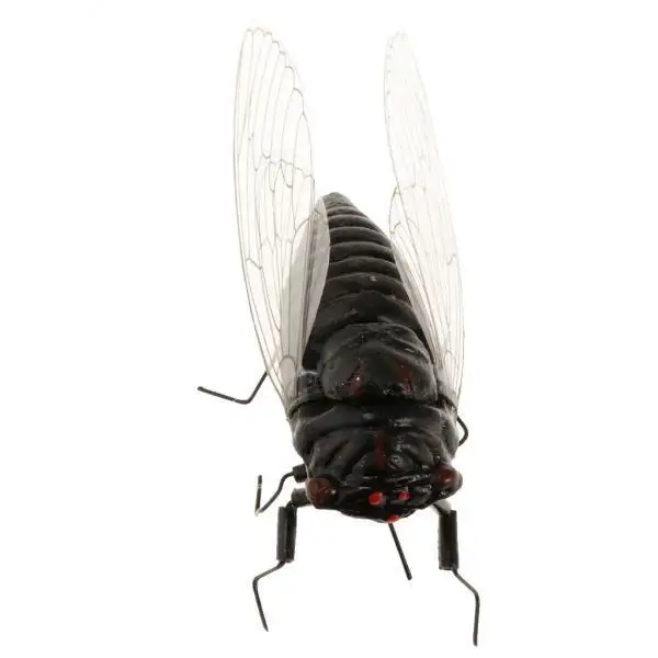 2x 1 Simulation And Toys Clay Animal Toys to Collect , Random, Cicada