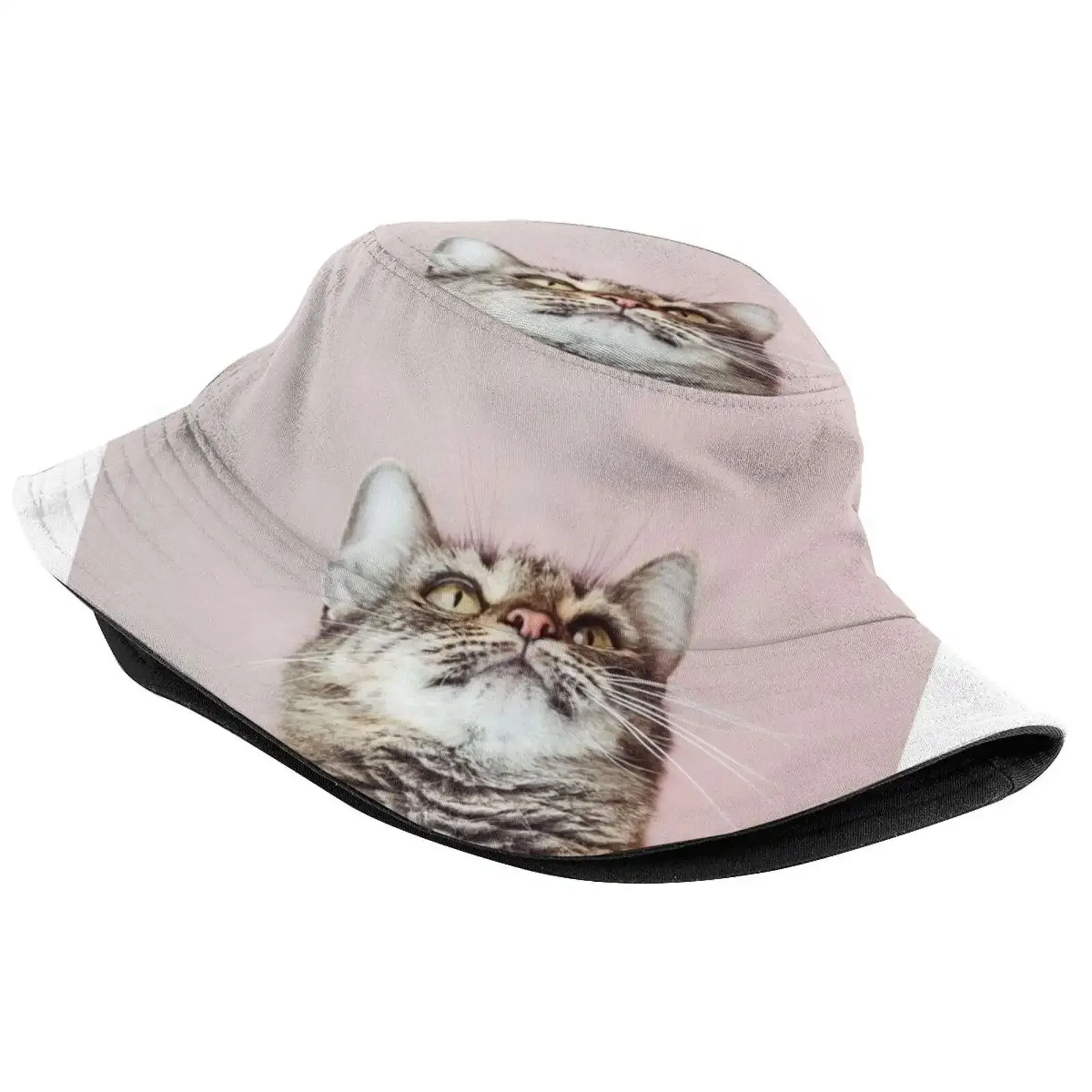 Beautiful Cat Looking Up Fisherman's Hat Bucket Hats Caps Animal Portrait Background Bliss Cat Close Up Cute Feline Fluffy