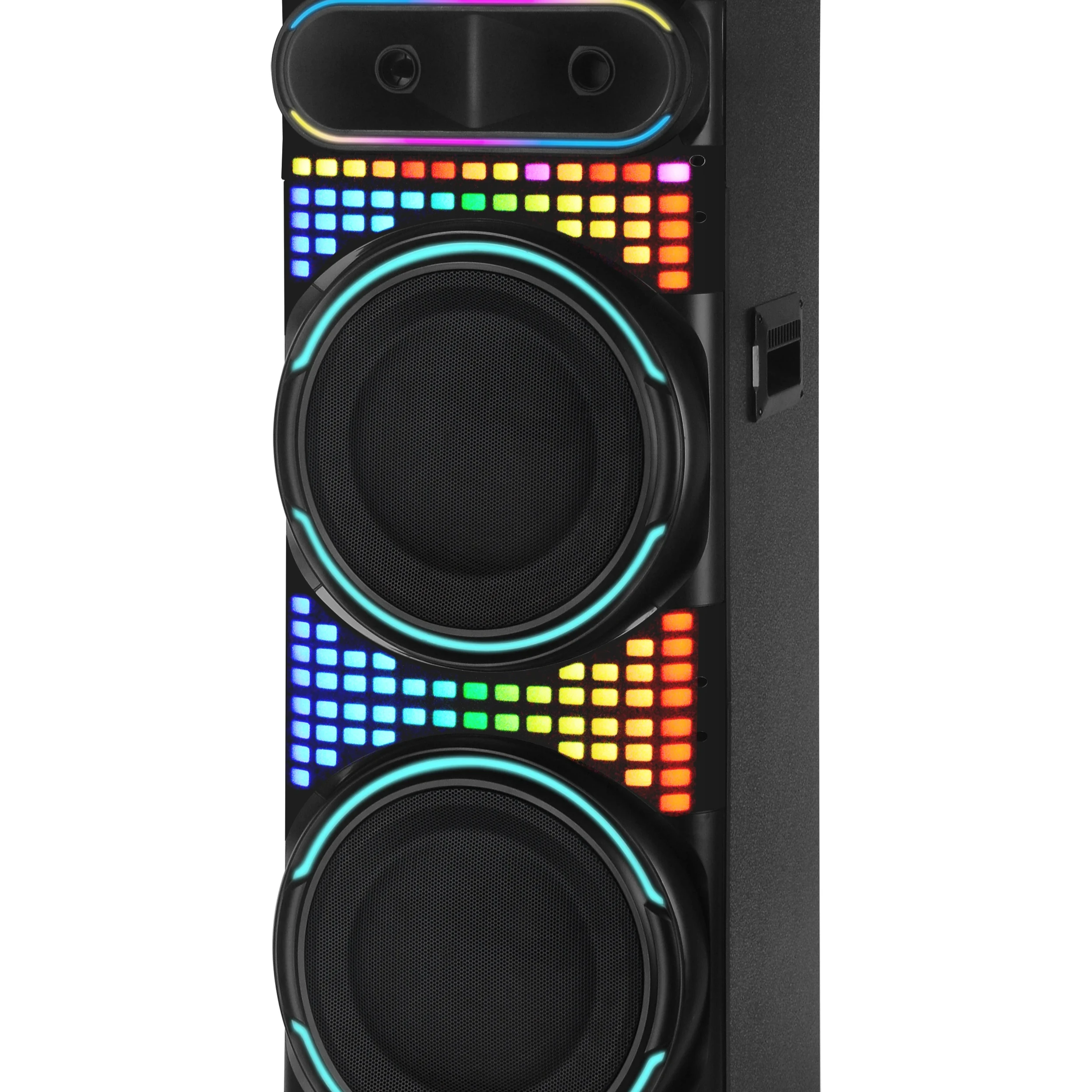 Dual 12" 12V14Ah Battery 100W 300W PMPO Home Theatre Stereo Woofer Karaoke For Trolley Speakers With 2 Wireless Mics