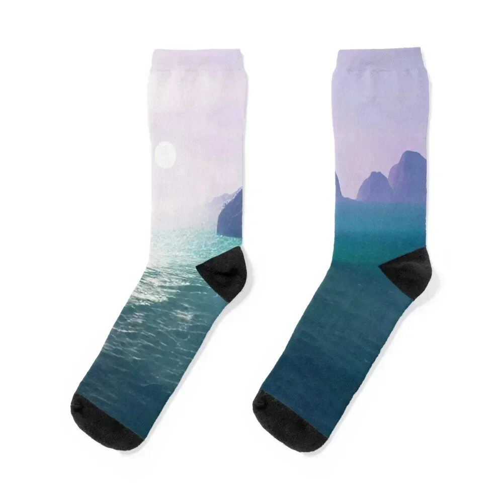 icebergs Socks aesthetic soccer anti-slip moving stockings colored Boy Socks Women's