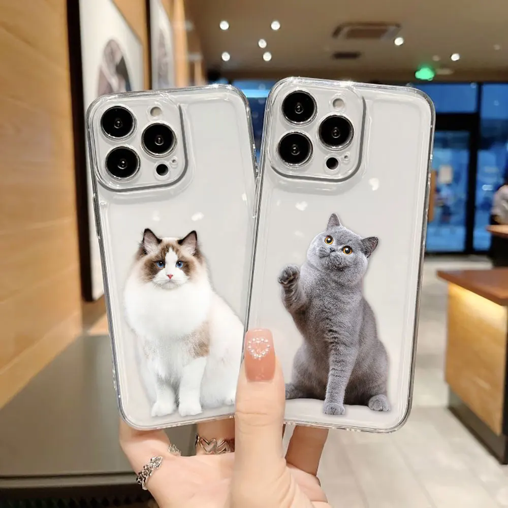 Animal White Grey C…