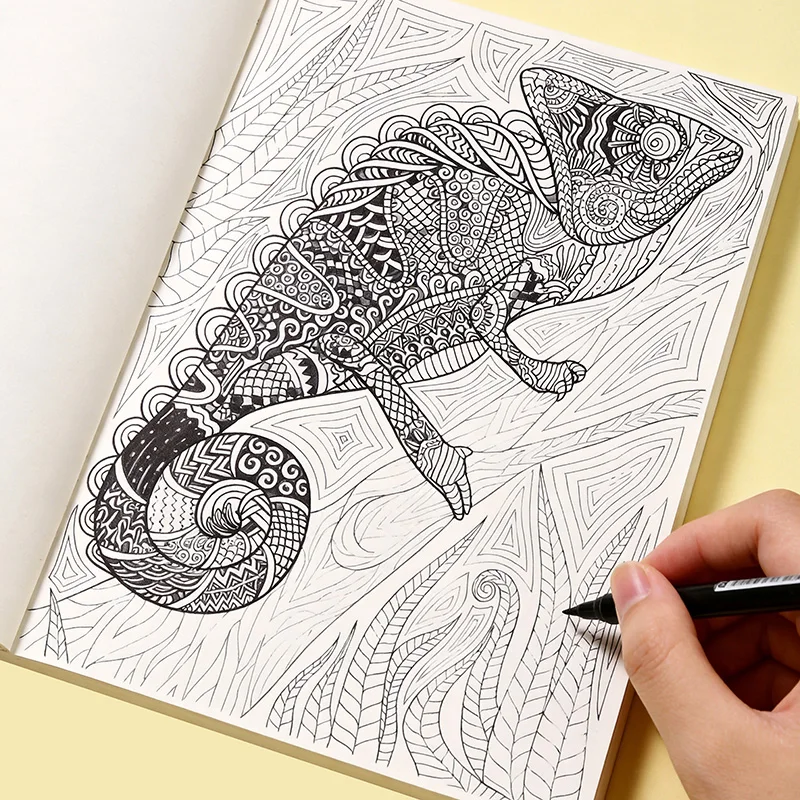 Livre de coloriage anti-stress pour adultes, livre de coloriage zen mandala, 24 motifs différents, 21x14cm
