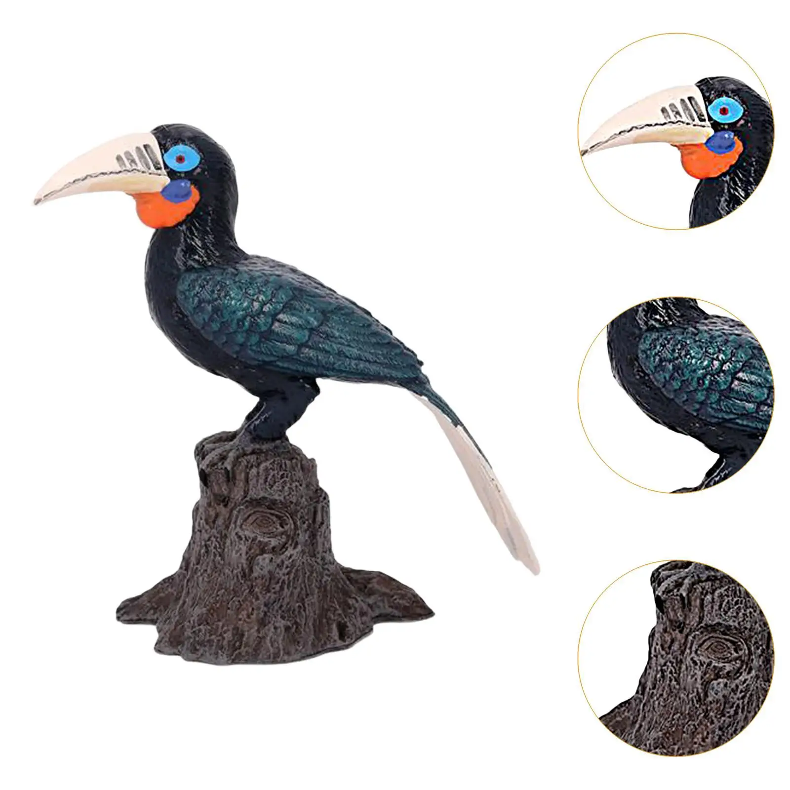 Modello di uccello Figura Giocattolo educativo da collezione Accento Statua di uccello realistica