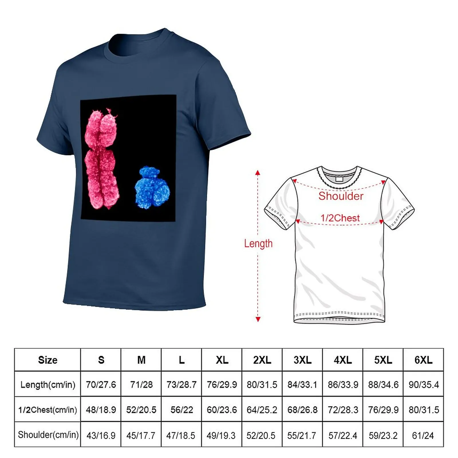 X and Y chromosomes (C003/0729) T-Shirt man t shirts graphic t shirts for man pack cotton T-Shirt