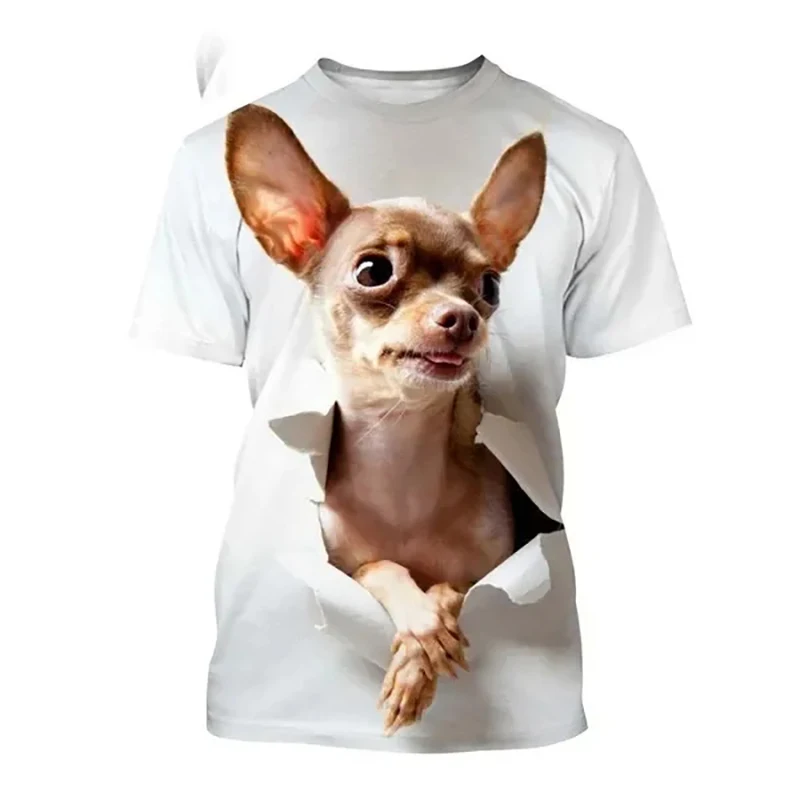 Chihuahua Dog New T-Shirts Cute Animal 3D Print Men's Woman Casual Short Sleeve T Shirt Oversized Harajuku Man Clothing Top Tees