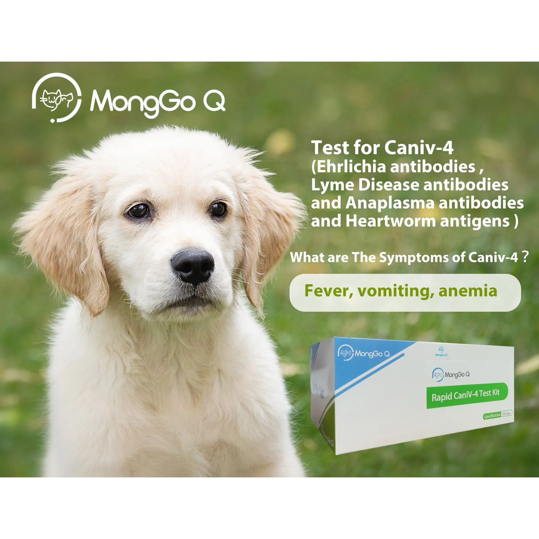 MongGoQ 10 Pcs Rapid Test Kit Anaplasma, Ehrlichia, Canine, Heartworm, Lyme Disease for Dogs, CaniV-4