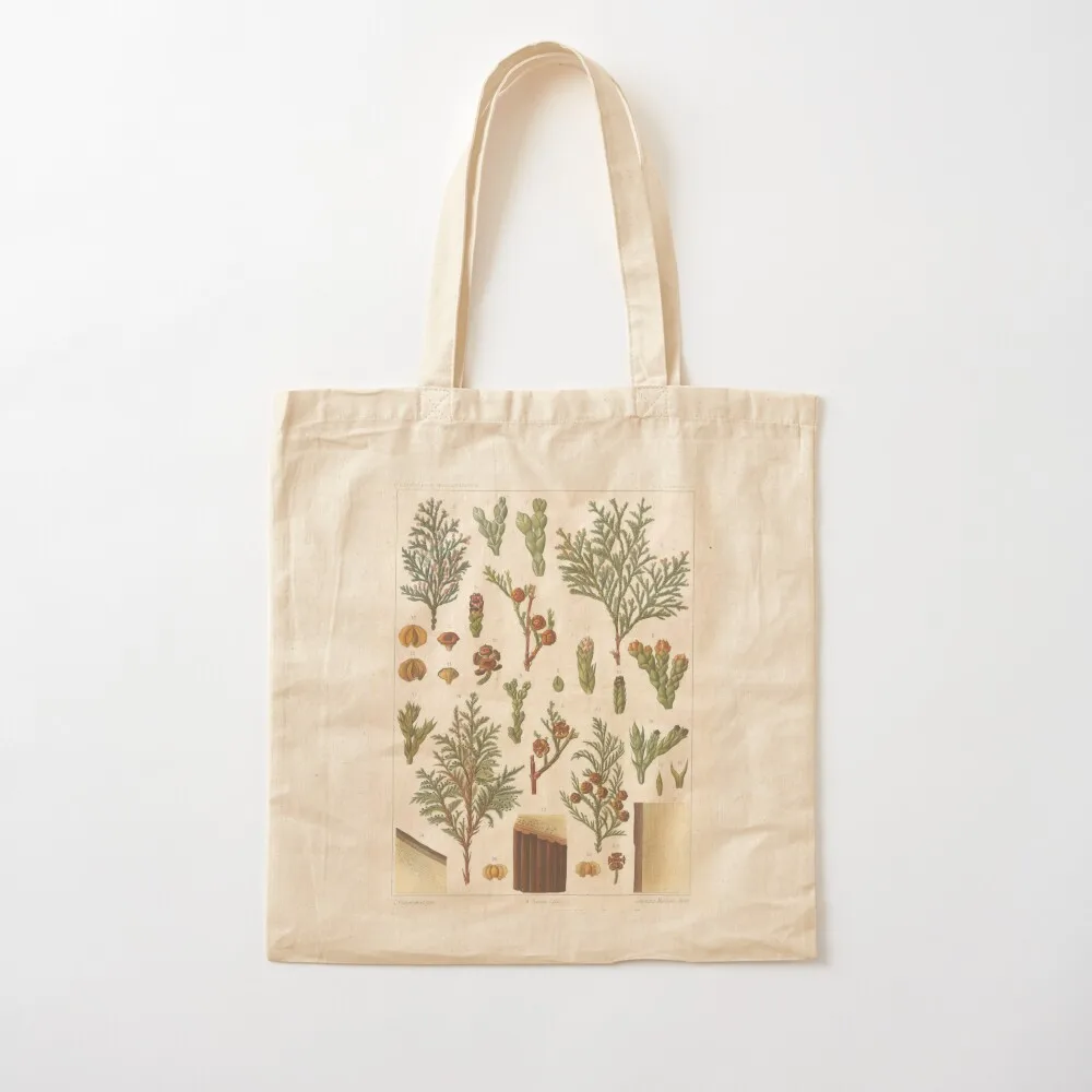 Botanical Cedar Tote Bag tote bag women shopping cart bags