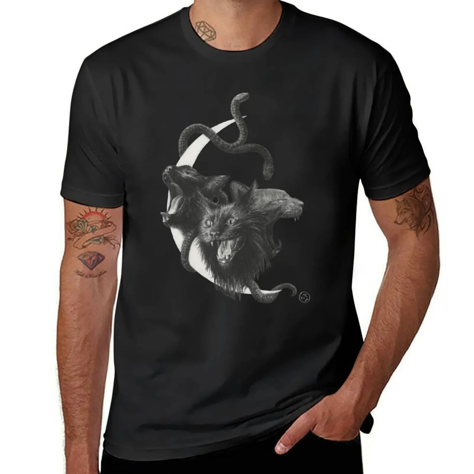 Harpies T-Shirt cute tops Aesthetic clothing mens tall t shirts