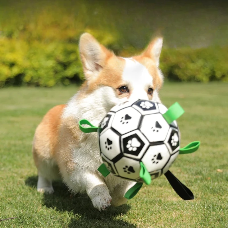 

Dog toy ball border collie Labrador corgi training special bite resistant products