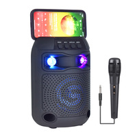 Portable Voice Amplifier Wired Microphone AUX Audio Recording Bluetooth Speaker 5-inches Bluetooth Karaoke Small Audio