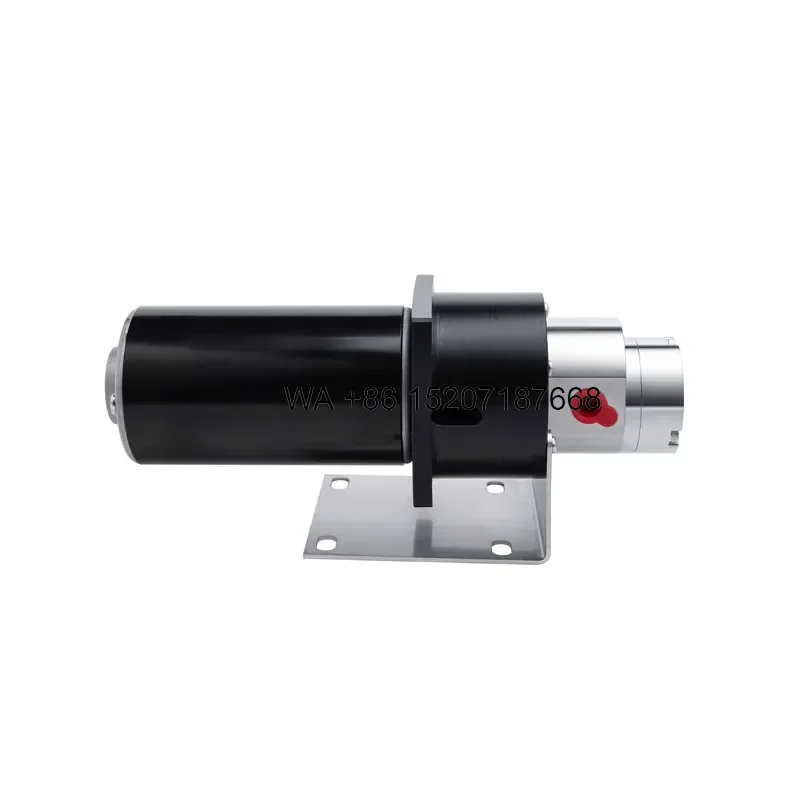 Wmwmnu for Non Leakage DC 12V 24V Chemical Small Magnetic Drive Pump Micro Annular Gear Pump Gear Metering Pump Use for