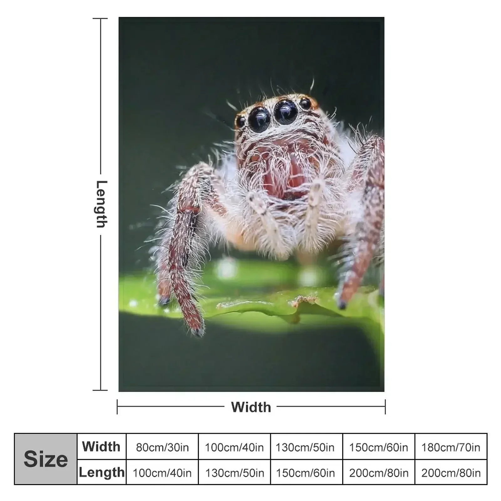 Jumping Spider Throw Blanket Vintage Soft Warm Furrys Blankets