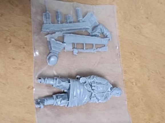 Buyer photo of this resin kit