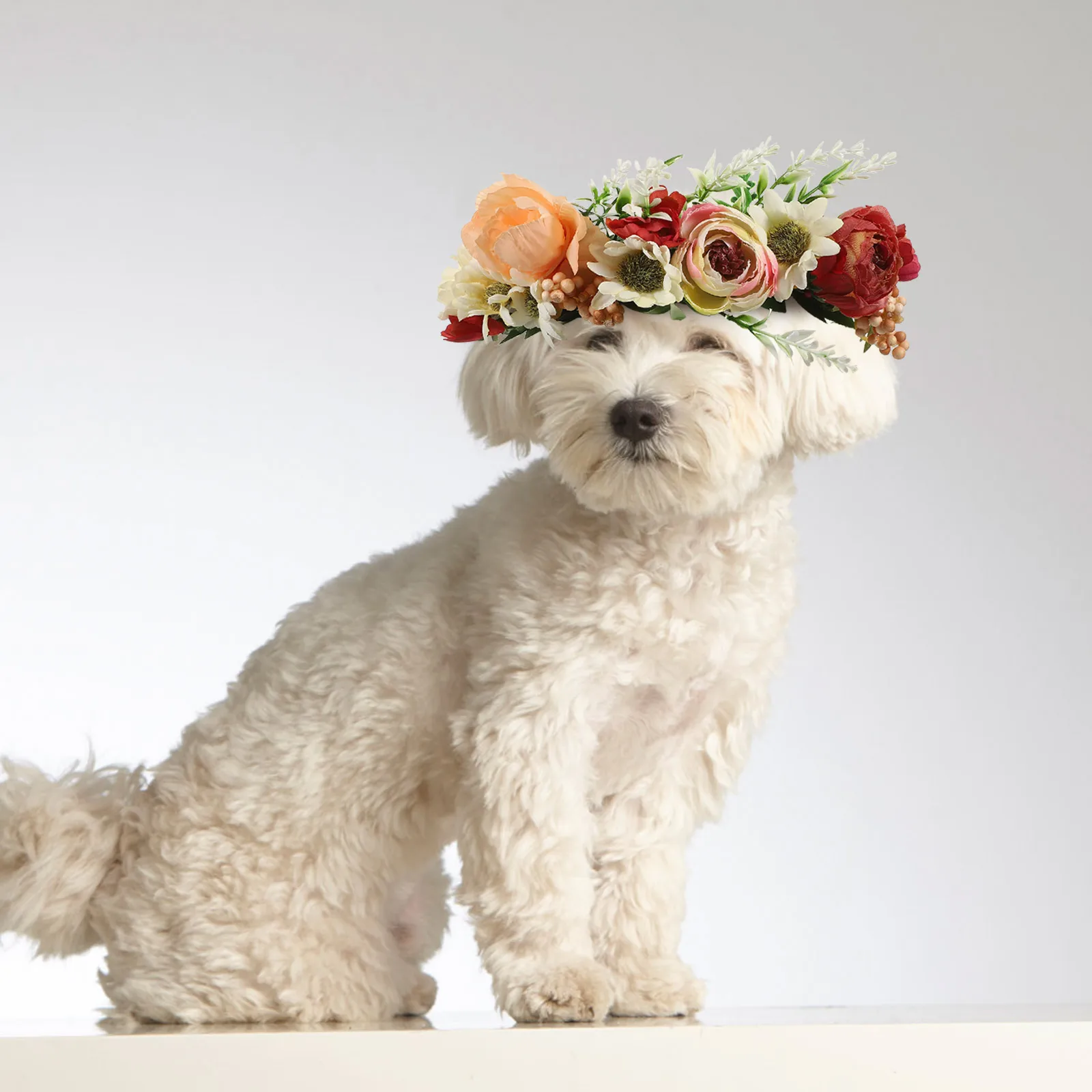 

Dog Wedding Flower Collar Adjustable Artificial Floral Ribbon Lightweight Pet Photo Prop for Wedding Party Pet Cat Dog Collar