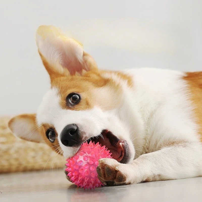 

5pcs/lots Pet Dog Voice Toy Ball Pet Elastic Prick Ball Flash Ball Dog Teeth Cleaning Toy