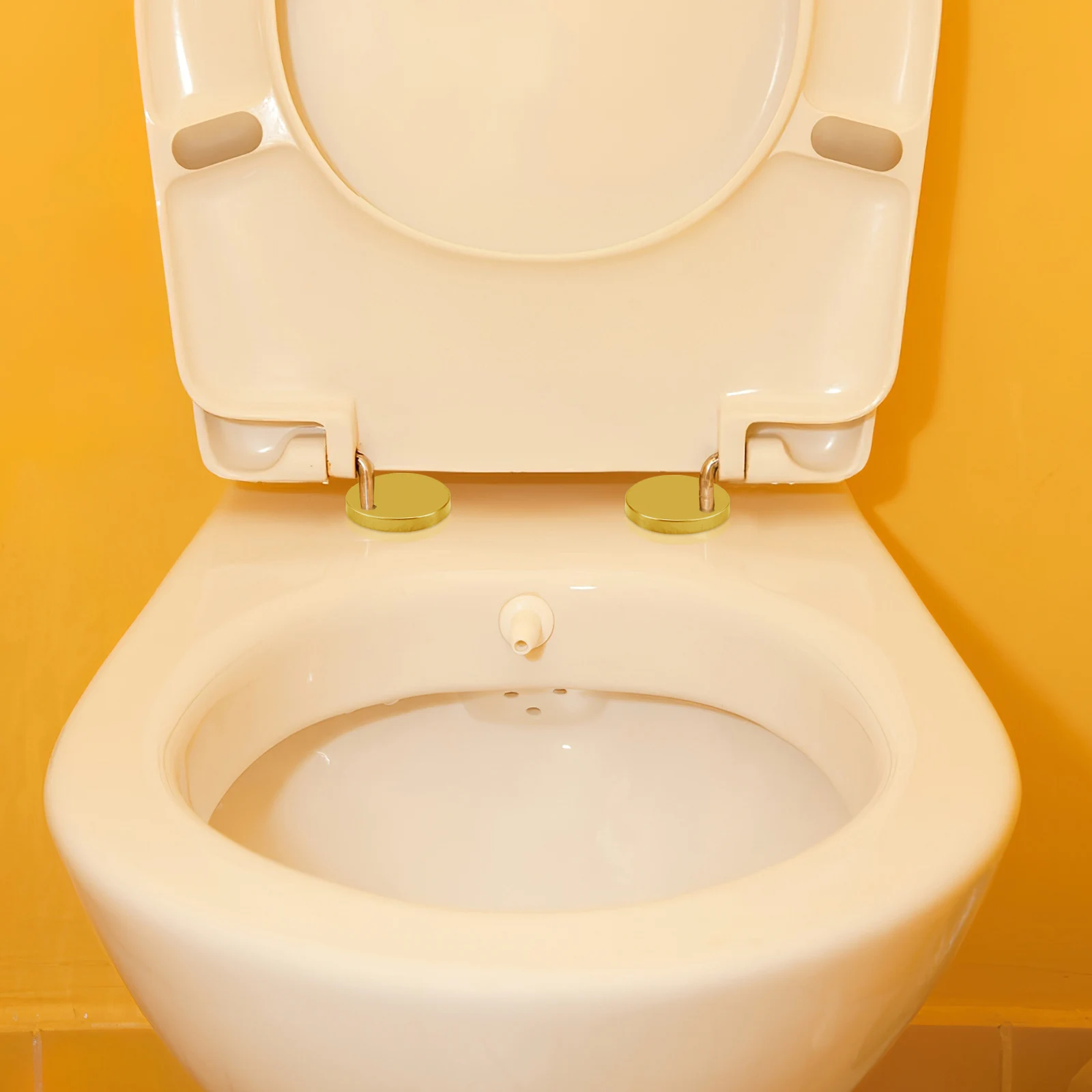 Рисунок 2 - навесная крышка для сиденья унитаза для крышек болтов