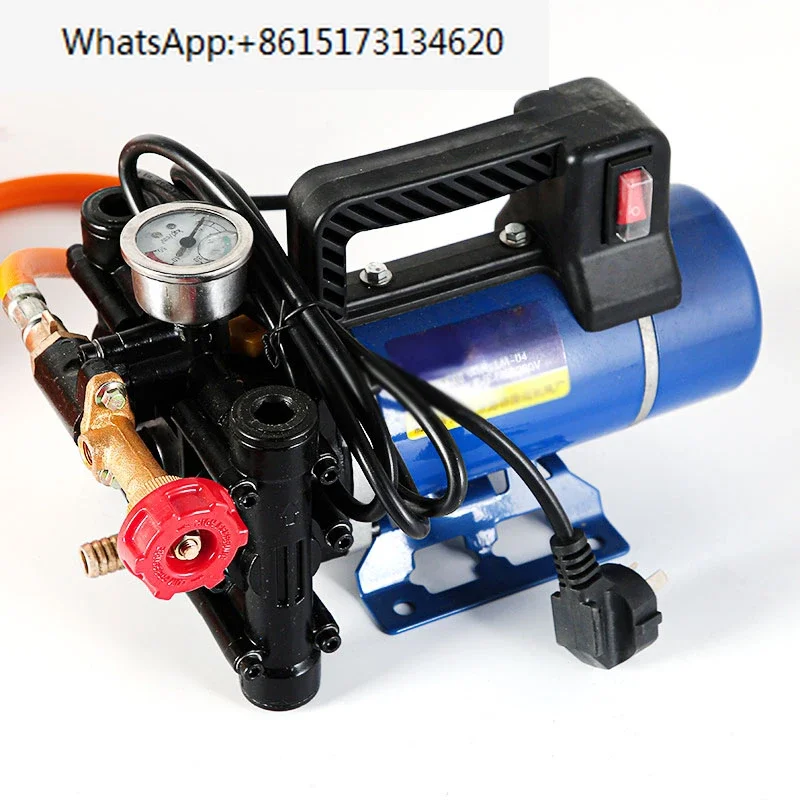 

Portable plunger pump 12V/24V/48V/60V/220V agricultural sprayer electric high pressure pump spray car wash irrigation sprayer