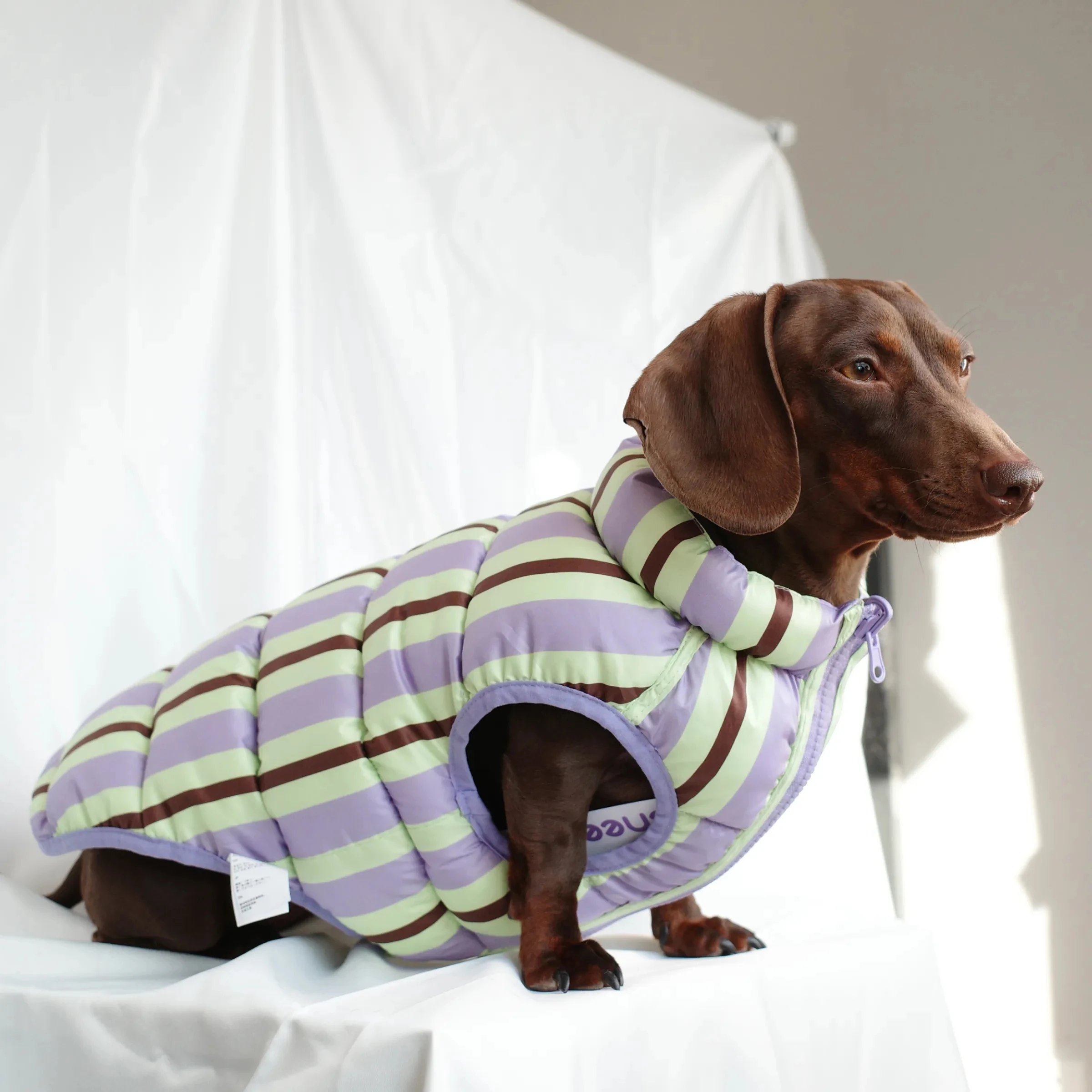 Winter-Daunenjacke für Dachshunde, dicke Weste für Wiener Hunde bei kaltem Wetter, leichter, warmer, ärmelloser Mantel für Dackelhunde – Detail 5