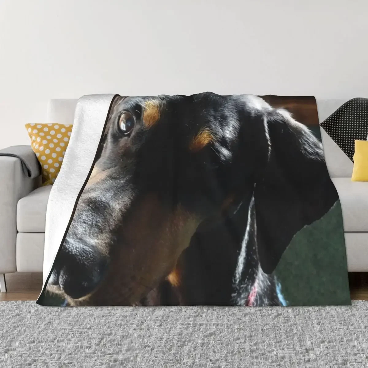 Doberman Tilt Throw Blanket Thermals For Travel Hairy Flannel Decorative Throw Blankets