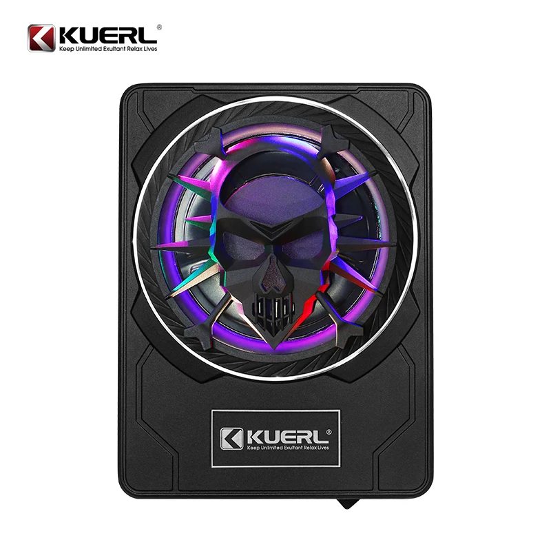 Car Audio Modification Skull Head with Light 10 Inch Overweight 12V Active Car Ultra-thin Subwoofer