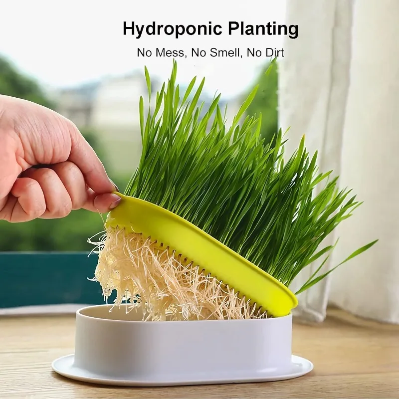 Pet Cat Sprout Dish Growing Pot Hydroponic Plant Cat Pot Grass Box Germination Nursery Starter Dish Greenhouse Grow Box