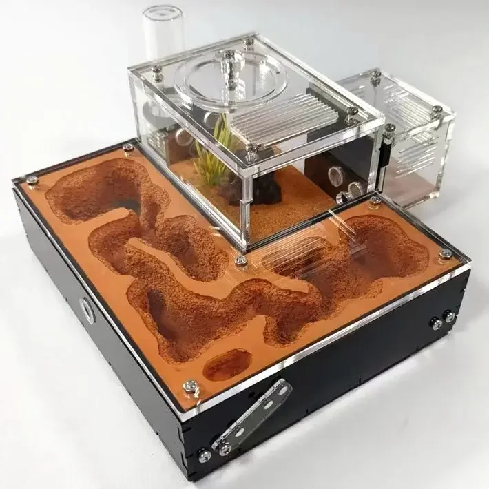 

Gypsum ant farm nest formicarium ant farm