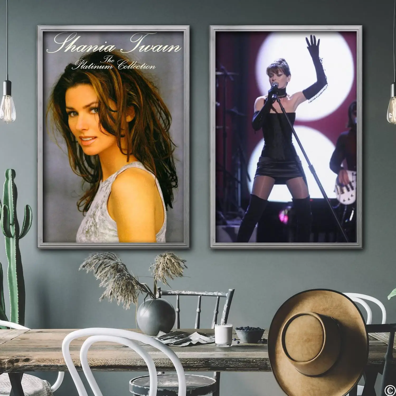 

shania twain singer Decorative Canvas Posters Room Bar Cafe Decor Gift Print Art Wall Paintings