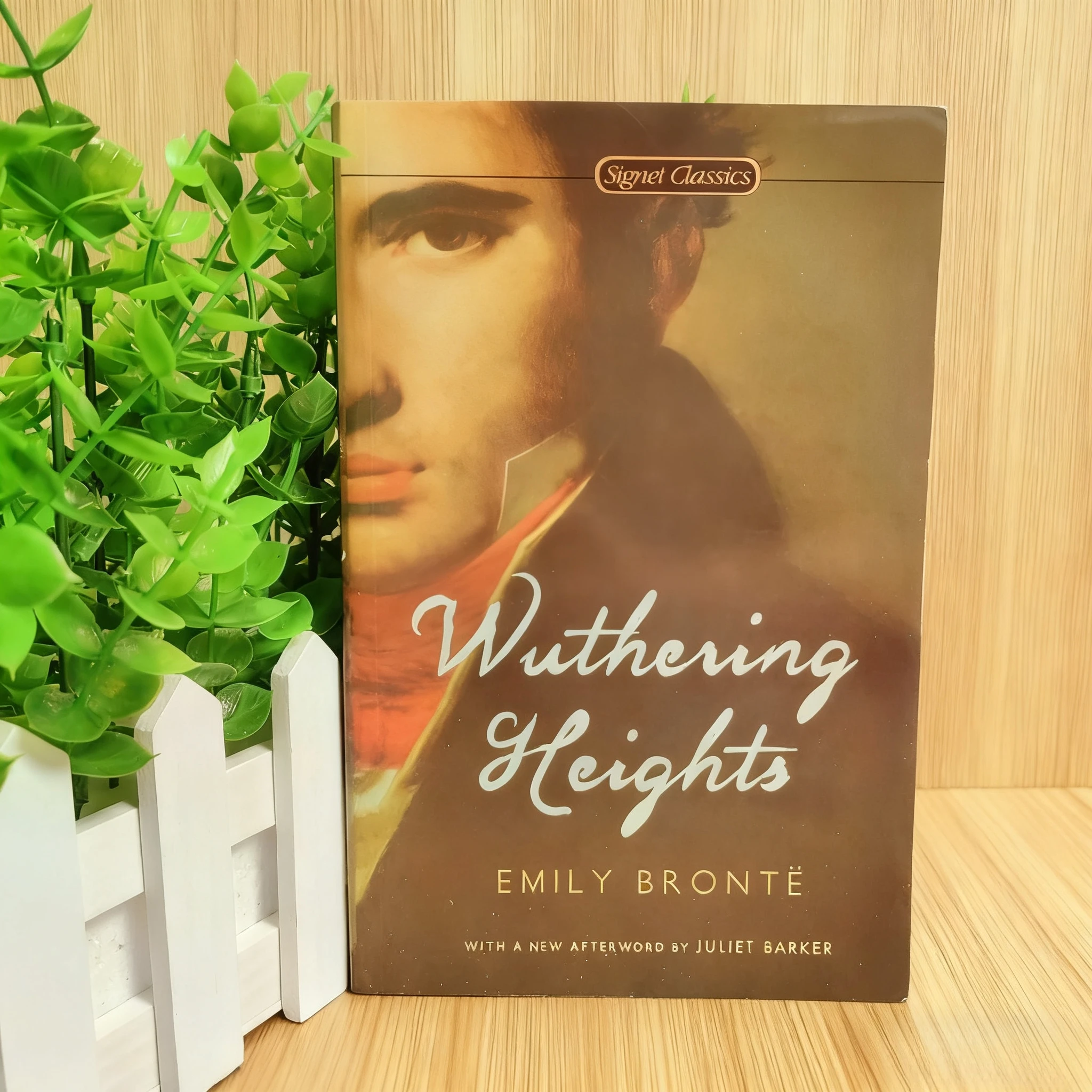 《The Concise 48 Laws Of Power》+《Wuthering Heights》Le jeu de la loi principale du pouvoir Livres de renommée mondiale Romans classiques Cadeaux de Noël