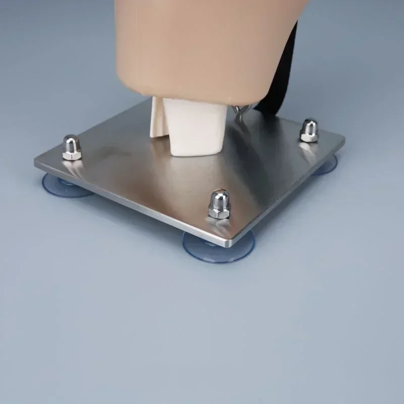 Simulation de Chirurgie d'Arthrotee avec Caméra HD, Technologie du Genou