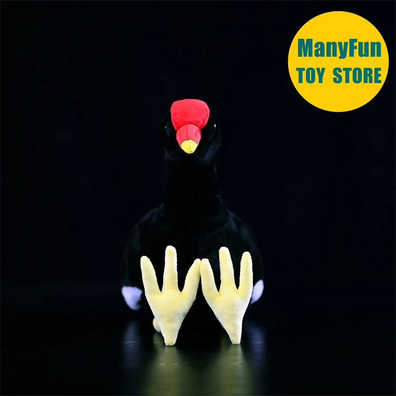 Moorhen brinquedo de pelúcia realista ferroviário plushie lifelike waterhen pelúcia animal inicialização simulação boneca brinquedo presentes