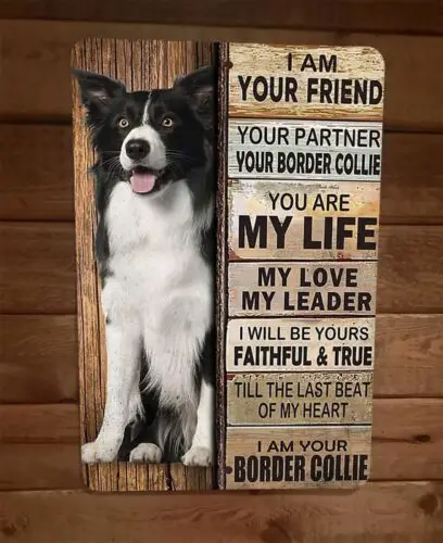 

I am your Border Collie Friend 8x12 Metal Wall Animal Dog Sign