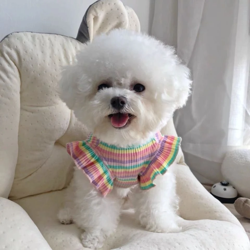 Ropa de verano a rayas de arcoíris para cachorros, Vestido elegante para perros de razas pequeñas, Falda corta para mascotas, Ropa Perro, disfraz, Vestido