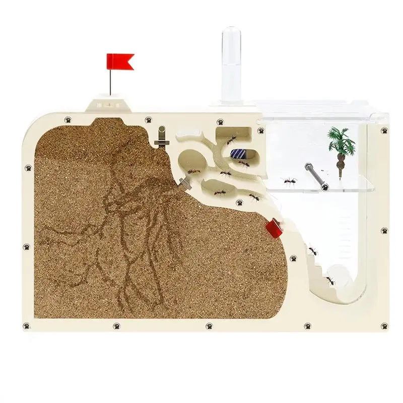 

Тренд 2025: Детский образовательный био-арт-набор «Муравьиная ферма» — Подземный экологический замок-муравейник