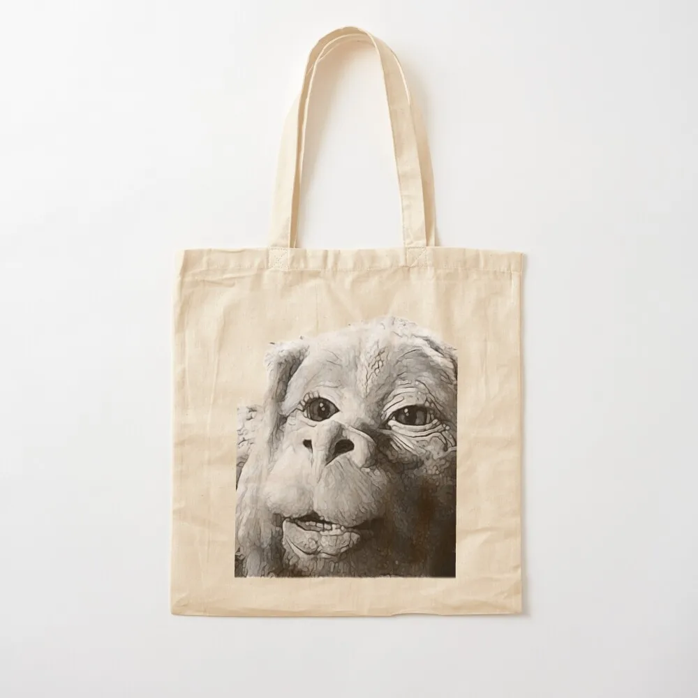 

Falkor The Luck Dragon From The Neverending Story Design Tote Bag reusable shopping bags foldable reusable bag Canvas Tote Bag