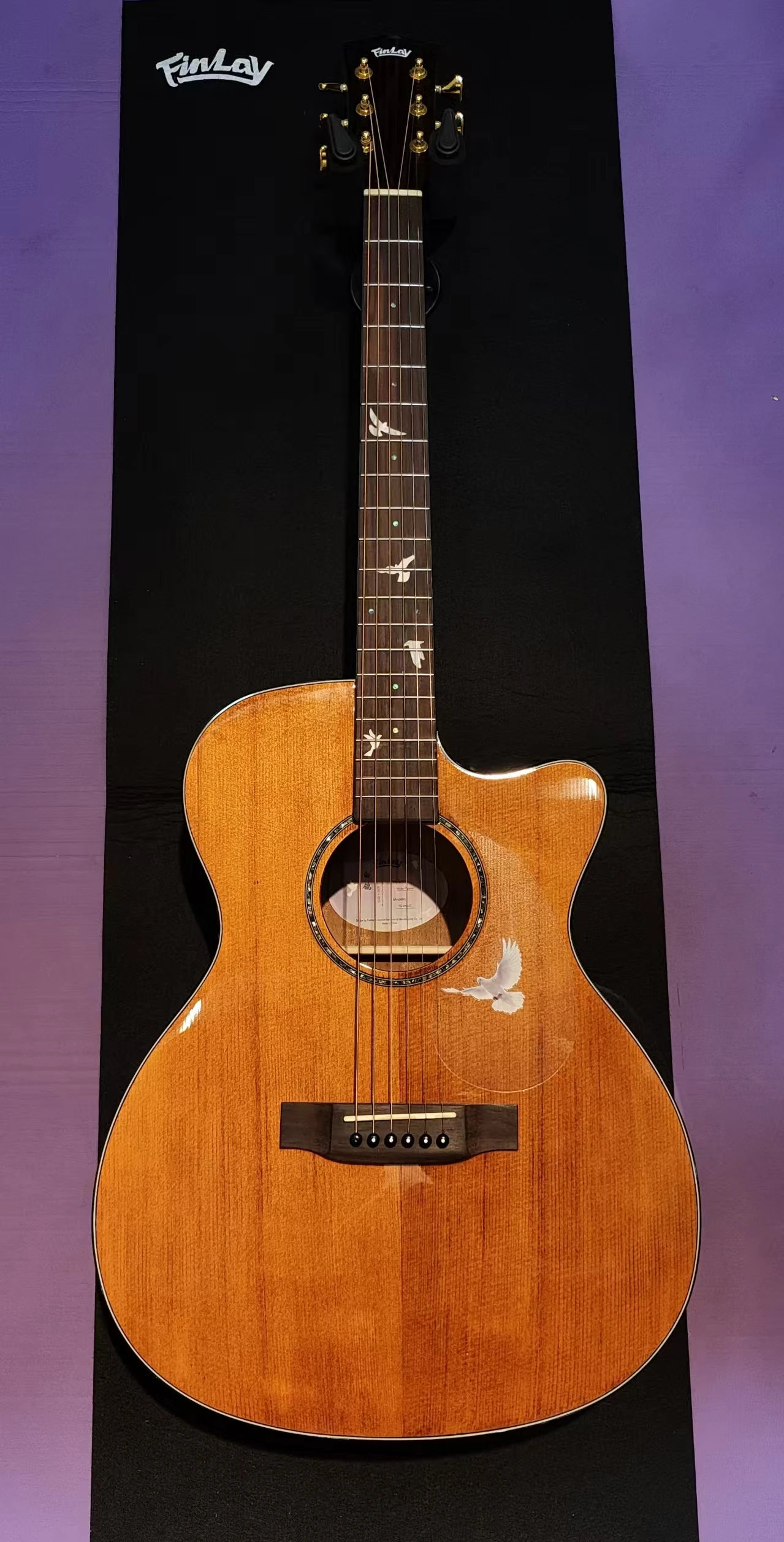 40' Electric Cutaway Acoustic Guitar, Solid Spruce Top/Mahogany Body, Guitars China, Dark Brown Gloss FG-A412C