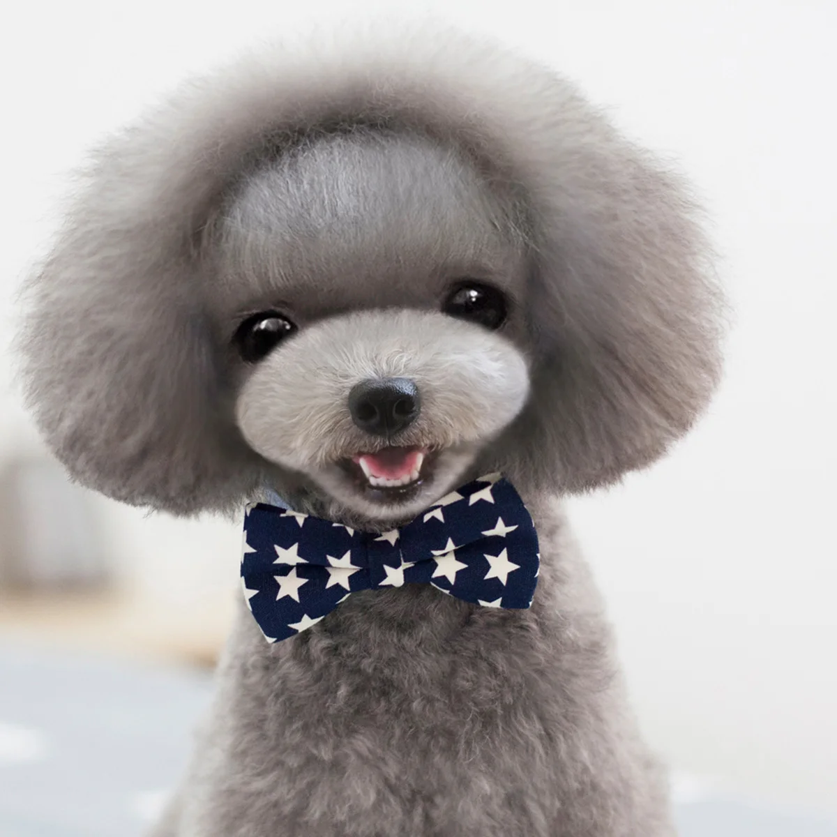 

Pet Bow Tie Dog Collar Contractile with Bell Bow Knot Cat Collar Dog Pet Bow Tie - Size S (Blue Star)