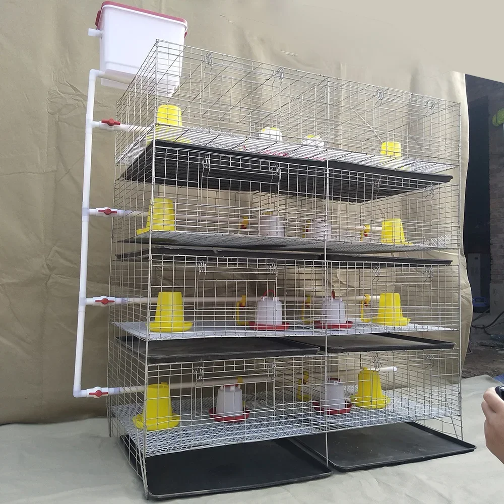 Moderne Baby-Kükenfutter, Geflügelfarmausrüstung, H-Typ, automatisches Batterie-Broiler-Hühnerkäfig-System für 1000 Vögel