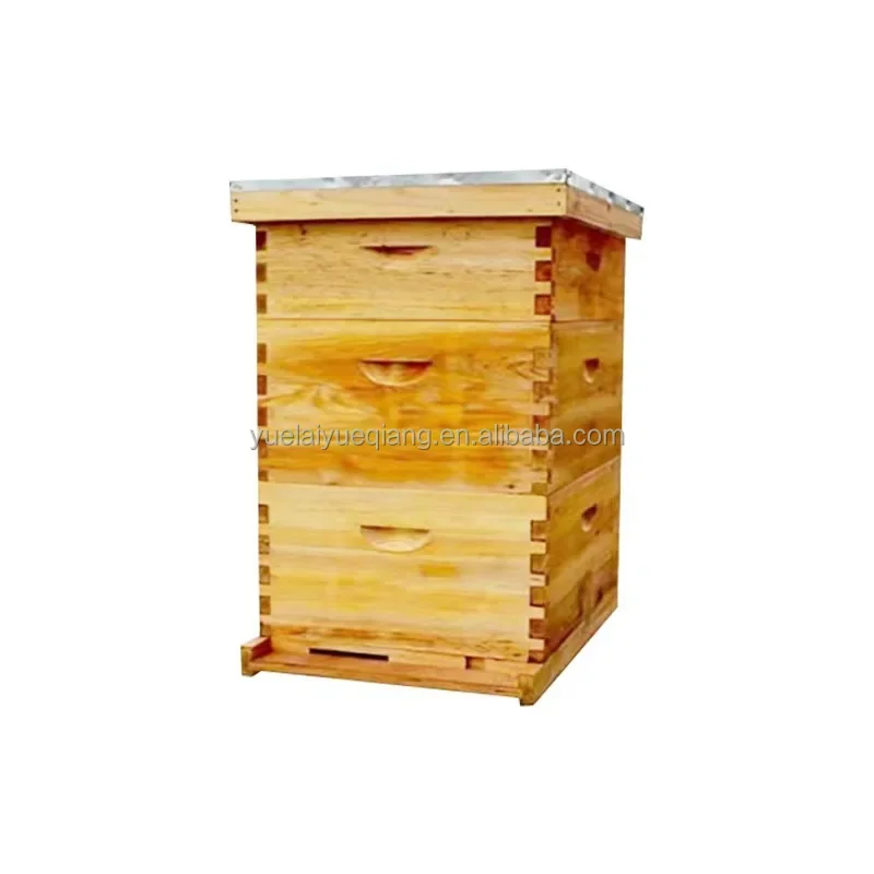 

FactoryPrice Beekeeping Tools Triple Lang Style Beehives 10 Frames Cedar Beehives Standard Beehives for Chinese and Italian Bees