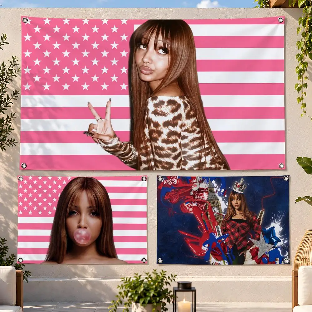 Singer Alternative PinkPantheress Flags Fan Flag Banner Wall Hanging Outdoor Yard Camping Dorm Garage Party Home Decor Gift